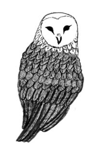 eule
