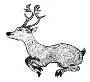 hirsch